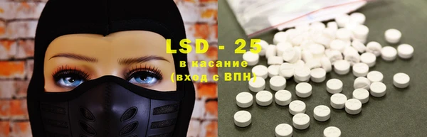 хмурый Аркадак