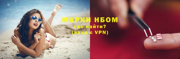 хмурый Аркадак