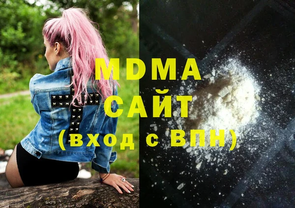 хмурый Аркадак