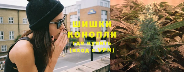 хмурый Аркадак