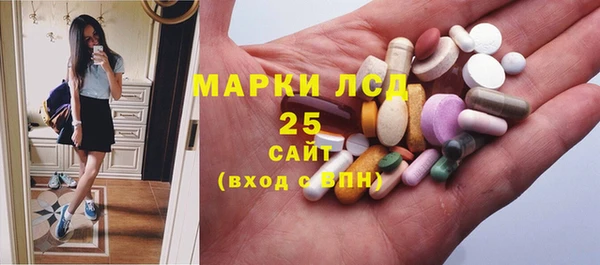 шишки Алексин