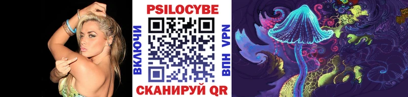 Псилоцибиновые грибы MAGIC MUSHROOMS  где найти наркотики  Карабаш 